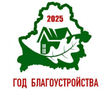 Об объявлении 2025 года Годом благоустройства