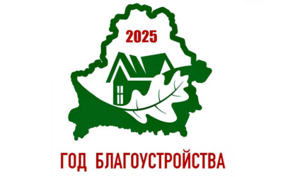 Об объявлении 2025 года Годом благоустройства